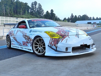 Z33